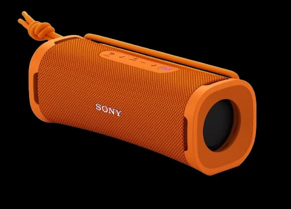 Loa Bluetooth Sony ULT Field 1