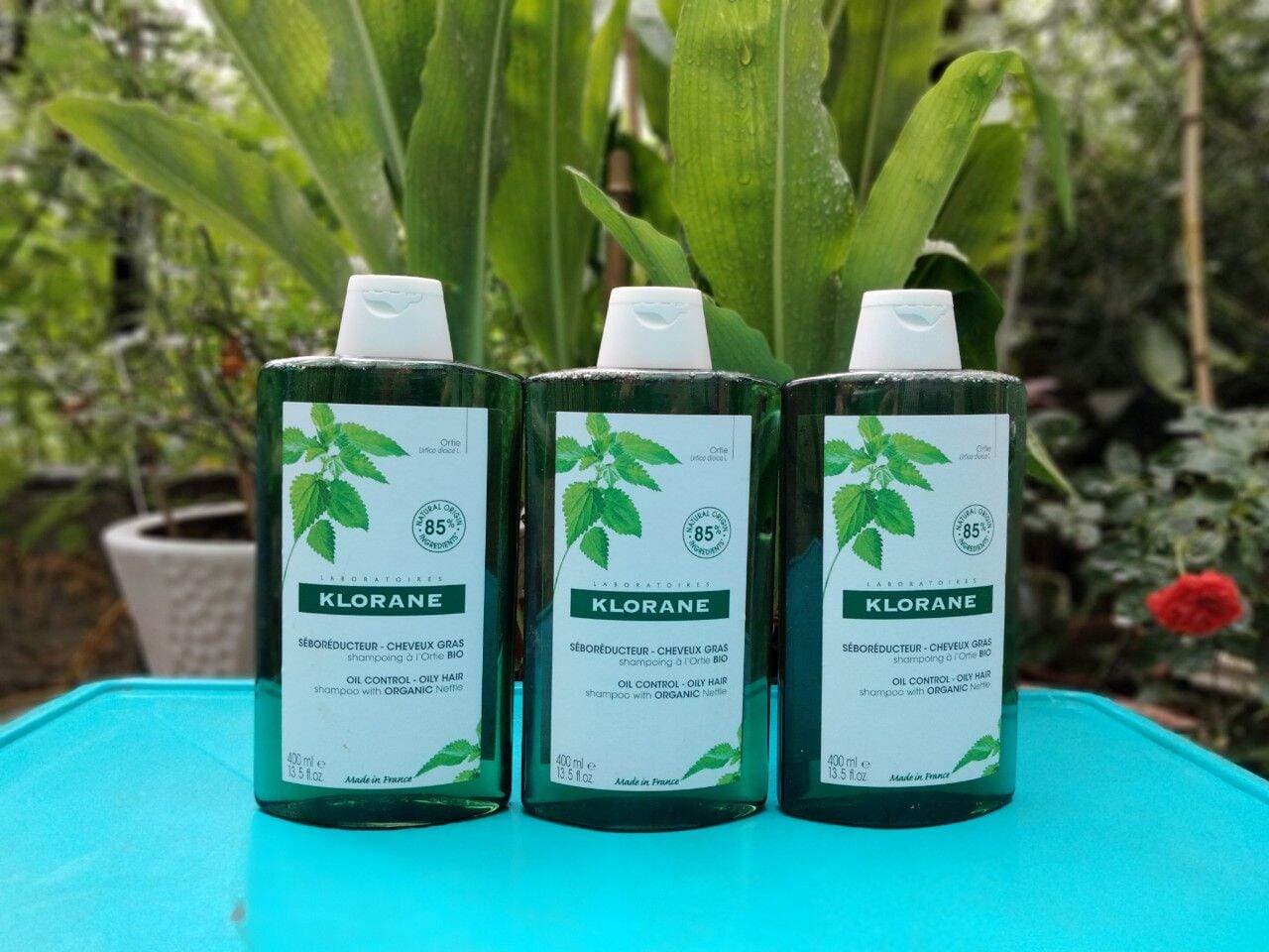 Dầu gội Klorane oil control nội địa Pháp dành cho tóc & da đầu nhờn