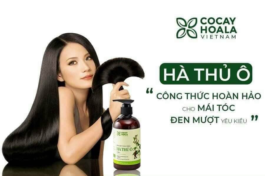 Dầu gội thủ ô