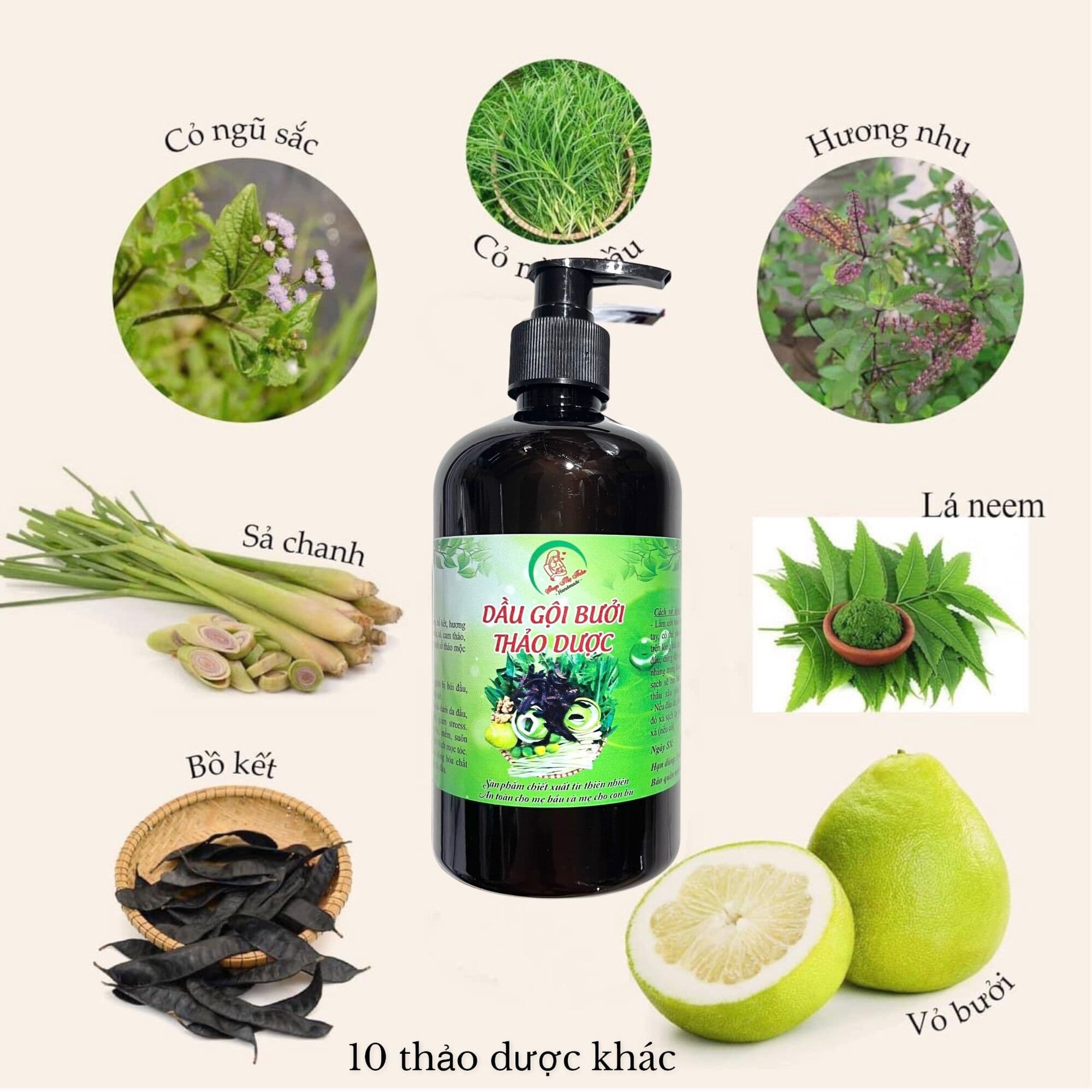 DẦU GỘI BƯỞI THẢO DƯỢC