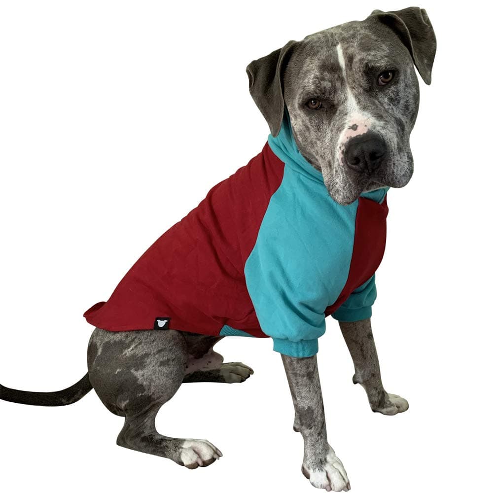 Tooth & Honey Large Dog Sweater/Pitbull/Large Dog Sweater Dog Sweatshirt/Red & Teal (Large)