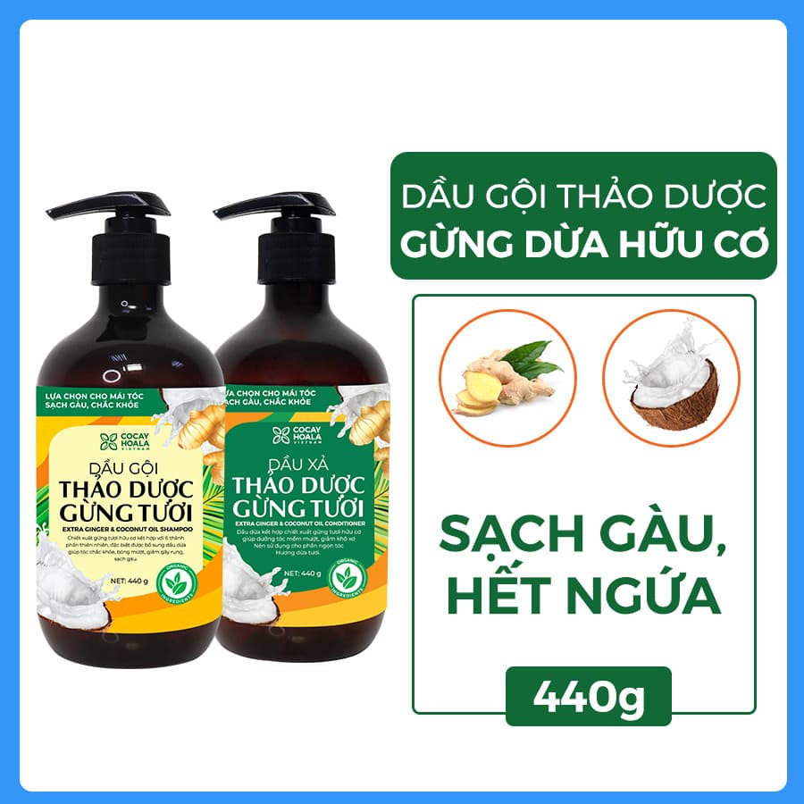 Bộ dầu gội thảo dược gừng dừa Cocayhoala hỗ trợ trị gàu, giảm nấm ngứa, dung tích 440gchai- 95 thành phần từ gừng tươi hữu cơ còn nguyên xơ gừng, hỗ trợ trị rụng tóc, kích thích mọc tóc vượt trội