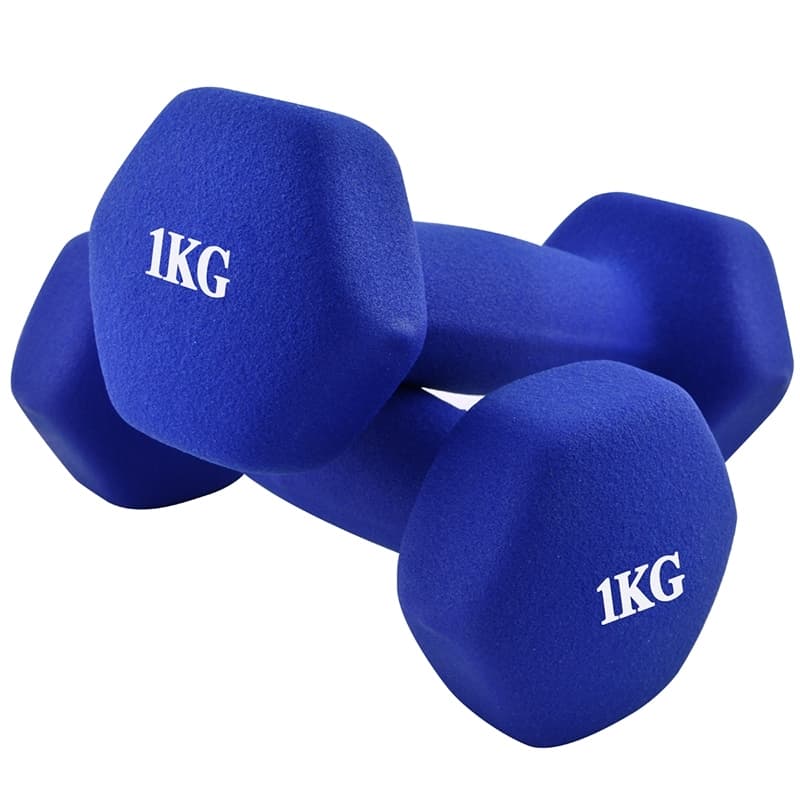 Bộ 2 tạ tay Thái Lan 1kg cao cấp Model Q304 - Q314 tập Gym tại nhà hàng nhập khẩu - Lam