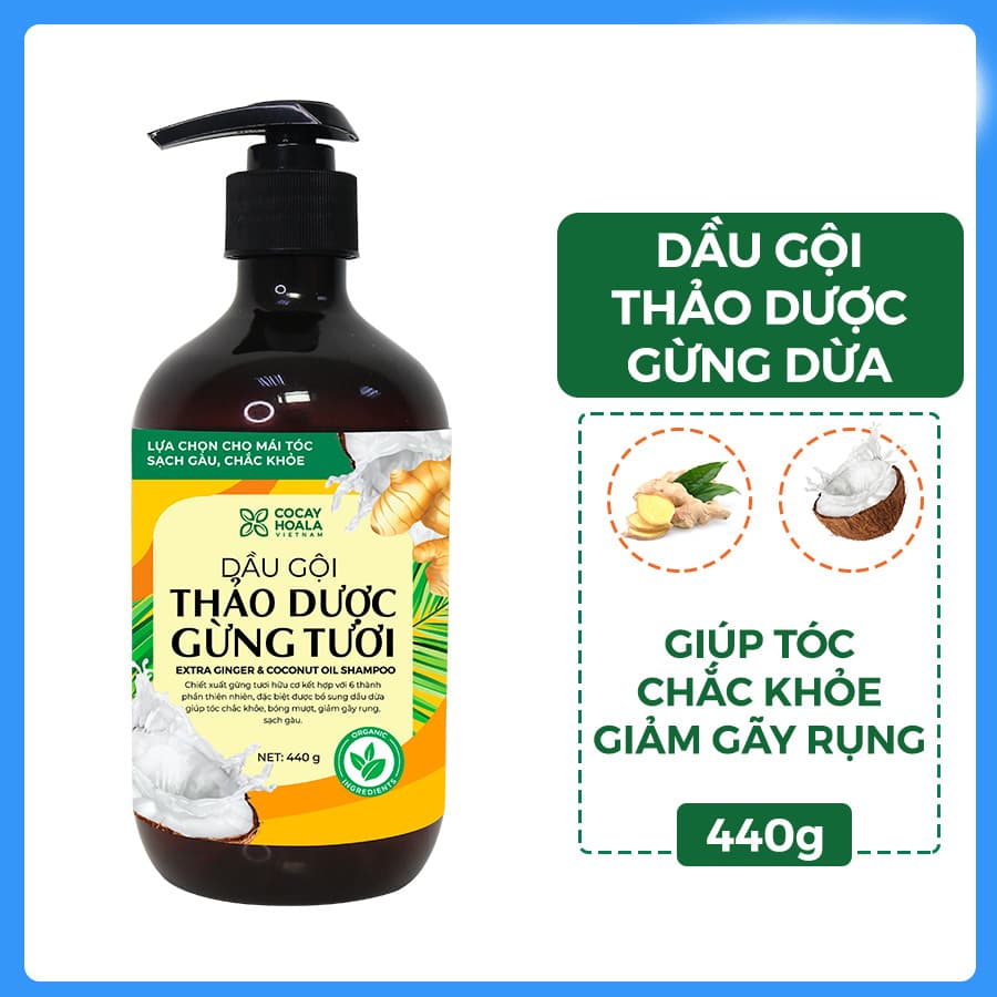Dầu gội thảo dược gừng dừa Cocayhoala hỗ trợ trị gàu, hết ngứa, dung tích 440g-95 thành phần từ gừng tươi hữu cơ còn nguyên xơ gừng, hỗ trợ trị rụng tóc, kích thích mọc tóc vượt trội, an toàn cho mẹ bầu mẹ sau sinh