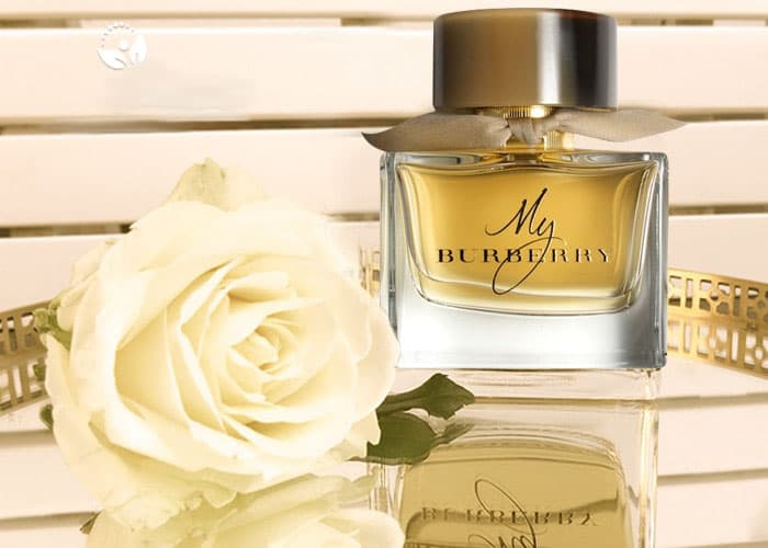 Nước Hoa Nữ Mùi Hương Sang Trọng Nữ Tính Thanh Lịch Dành Cho Những Bạn Nữ Có Gu Thời Trang Thông Minh Quý Phái – BH 6 Tháng