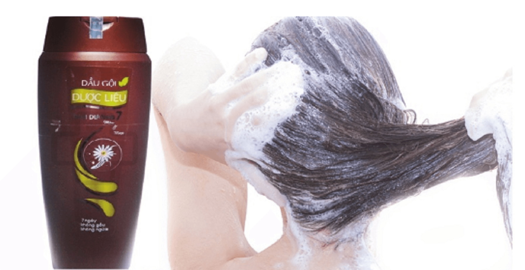Dầu gội dược liệu Thái Dương 7 trị sạch gàu kích thích mọc tóc