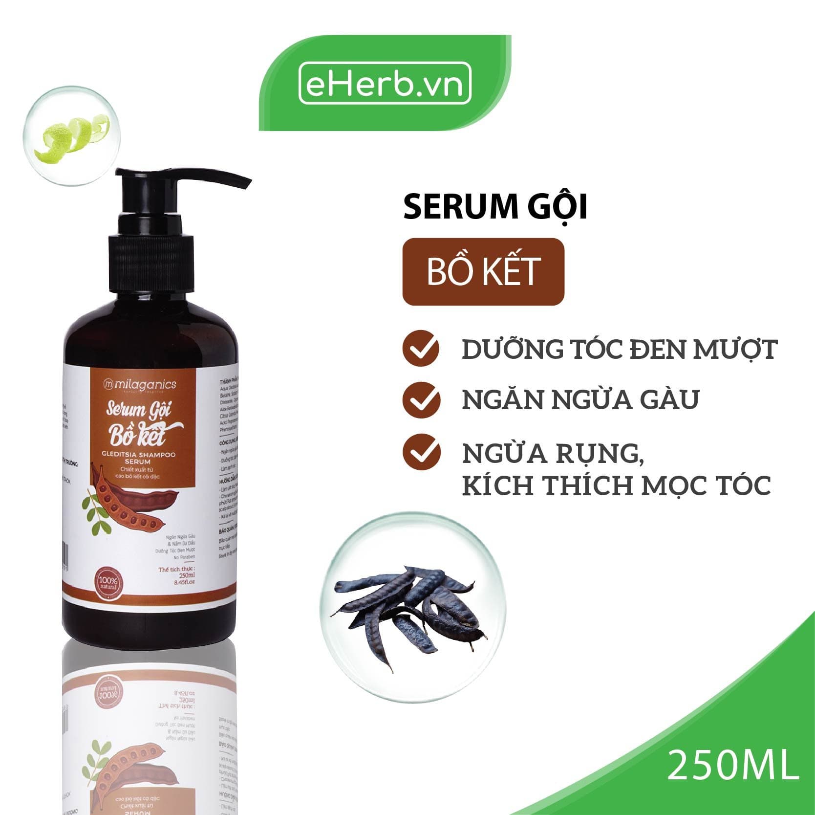 Dầu Gội Bồ Kết Dưỡng Tóc Đen Chắc Khỏe & Kích Thích Mọc Tóc Từ Cao Bồ Kết Cô Đặc MILAGANICS 250ml (Chai)