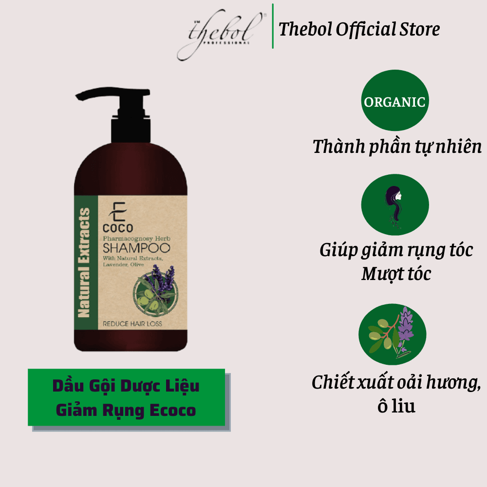 [HCM]Dầu gội dược liệu giảm rụng tóc Ecoco với chiết xuất oải hương ô liu