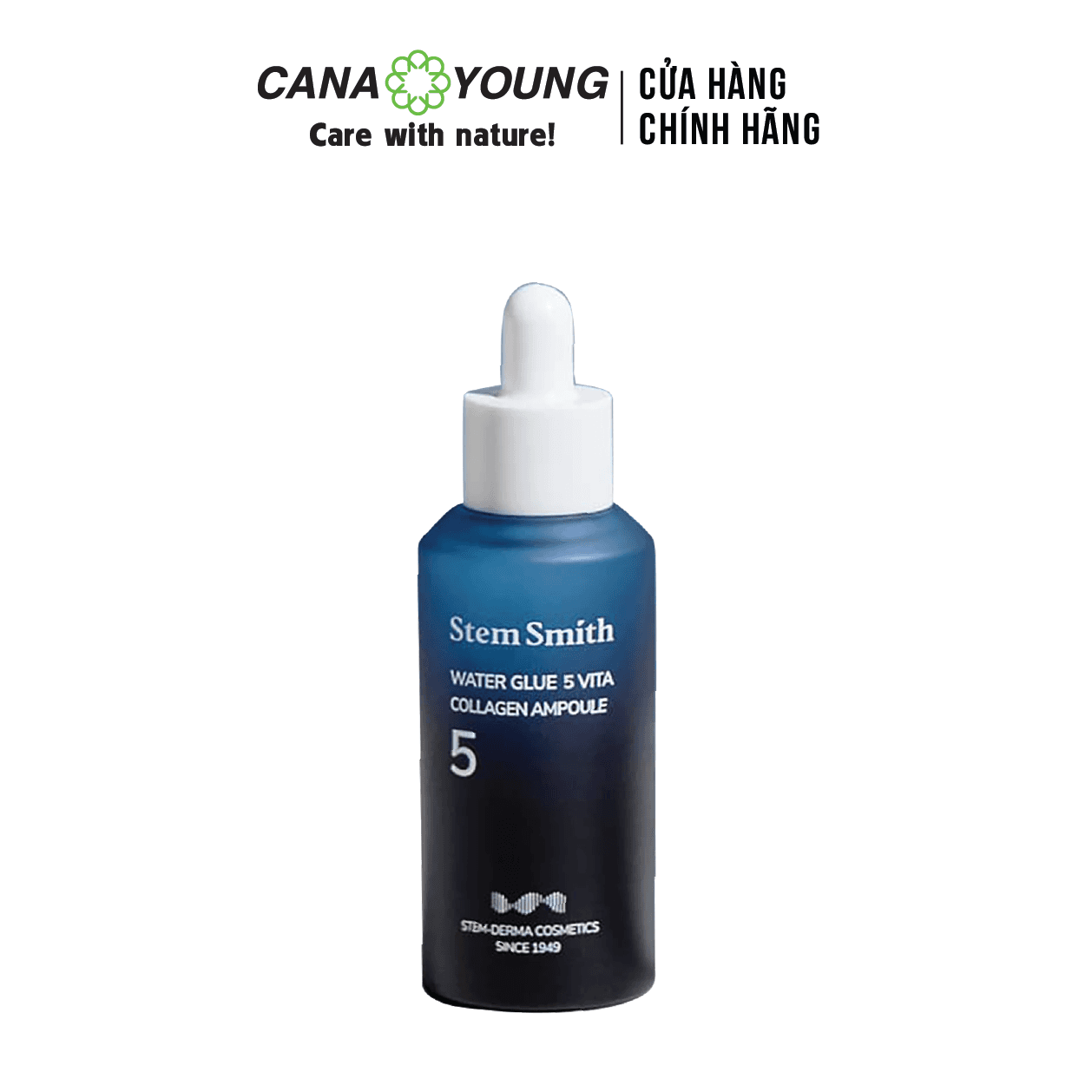 TINH CHẤT CÔ ĐẶC CẤP NƯỚC GIẢM NẾP NHĂN STEM SMITH WATER GLUE 5 VITA COLLAGEN AMPOULE 50ML