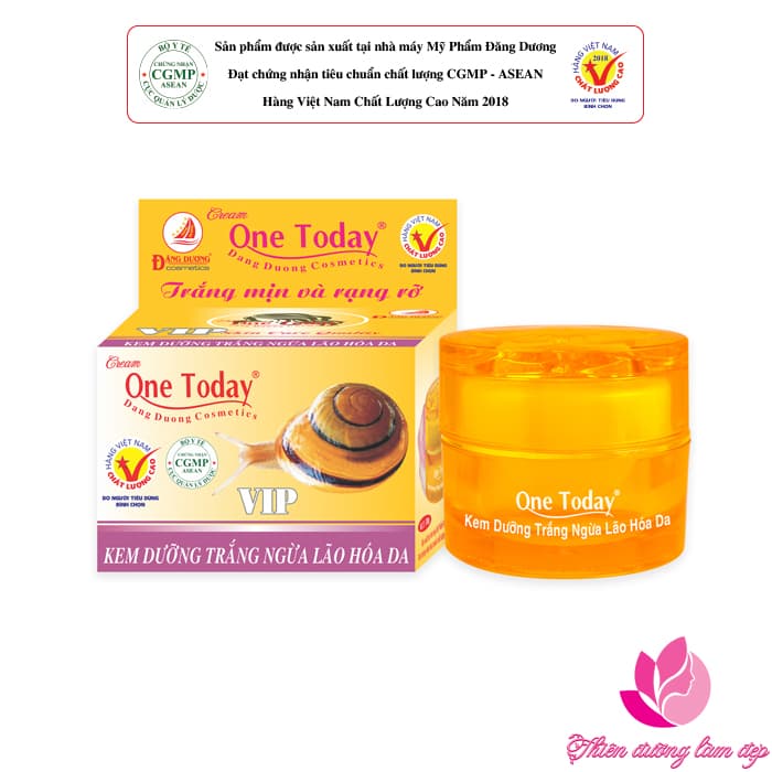 Kem dưỡng trắng Ngừa lão hóa da Vip ONE TODAY 20g