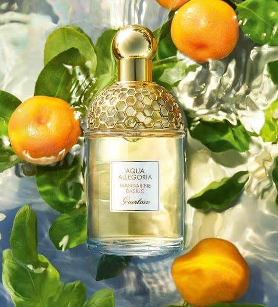 Nước Hoa Aqua Allegoria Mandarine Basilic 75ml