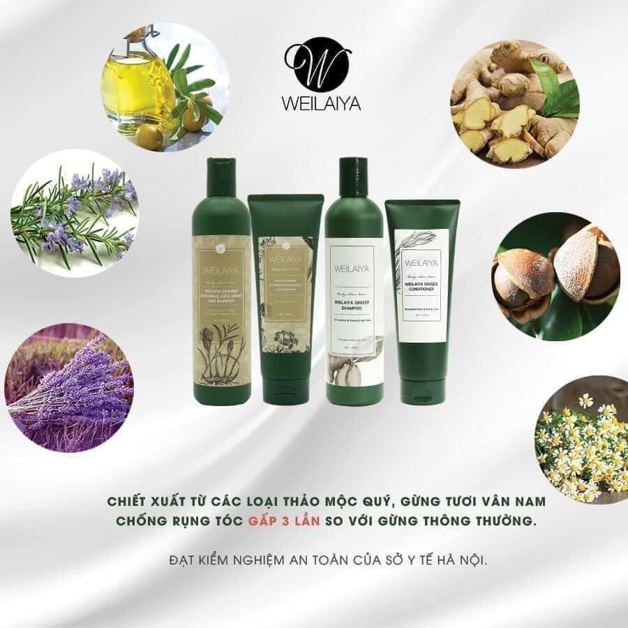 Cặp Dầu gội xả gừng Weilaiya 100% từ thiên nhiên (tem trắng ) tặng kèm bộ mini