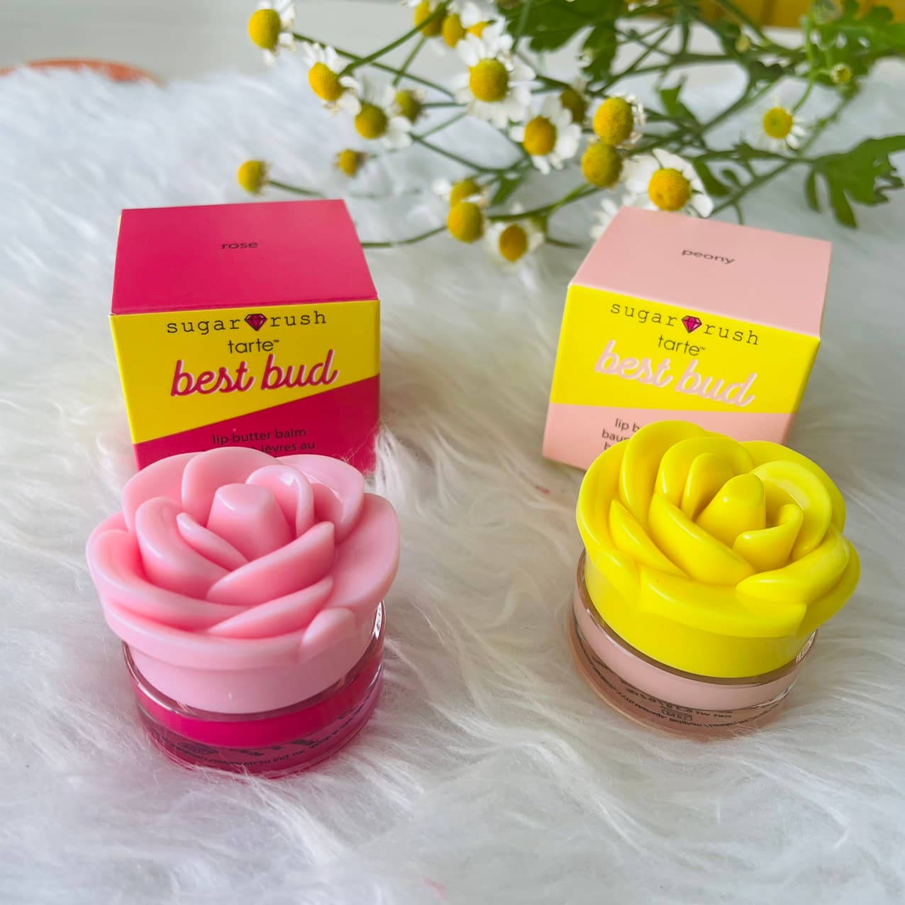 [HCM][Có sẵn] Son dưỡng có màu Tarte Sugar Rush dưỡng môi siêu hiệu quả