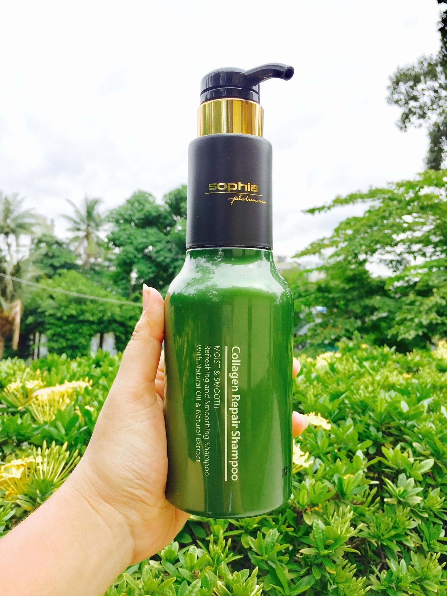 Dầu gội Sophia Collagen Hàn Quốc 500ml