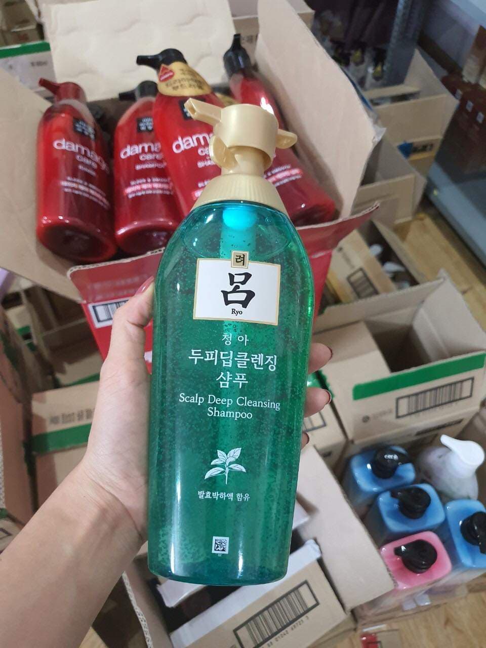 Dầu gội Ryo Xanh Hàn Quốc 500ml