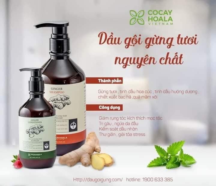Combo dầu gội/xả gừng tươi giảm rụng tóc
