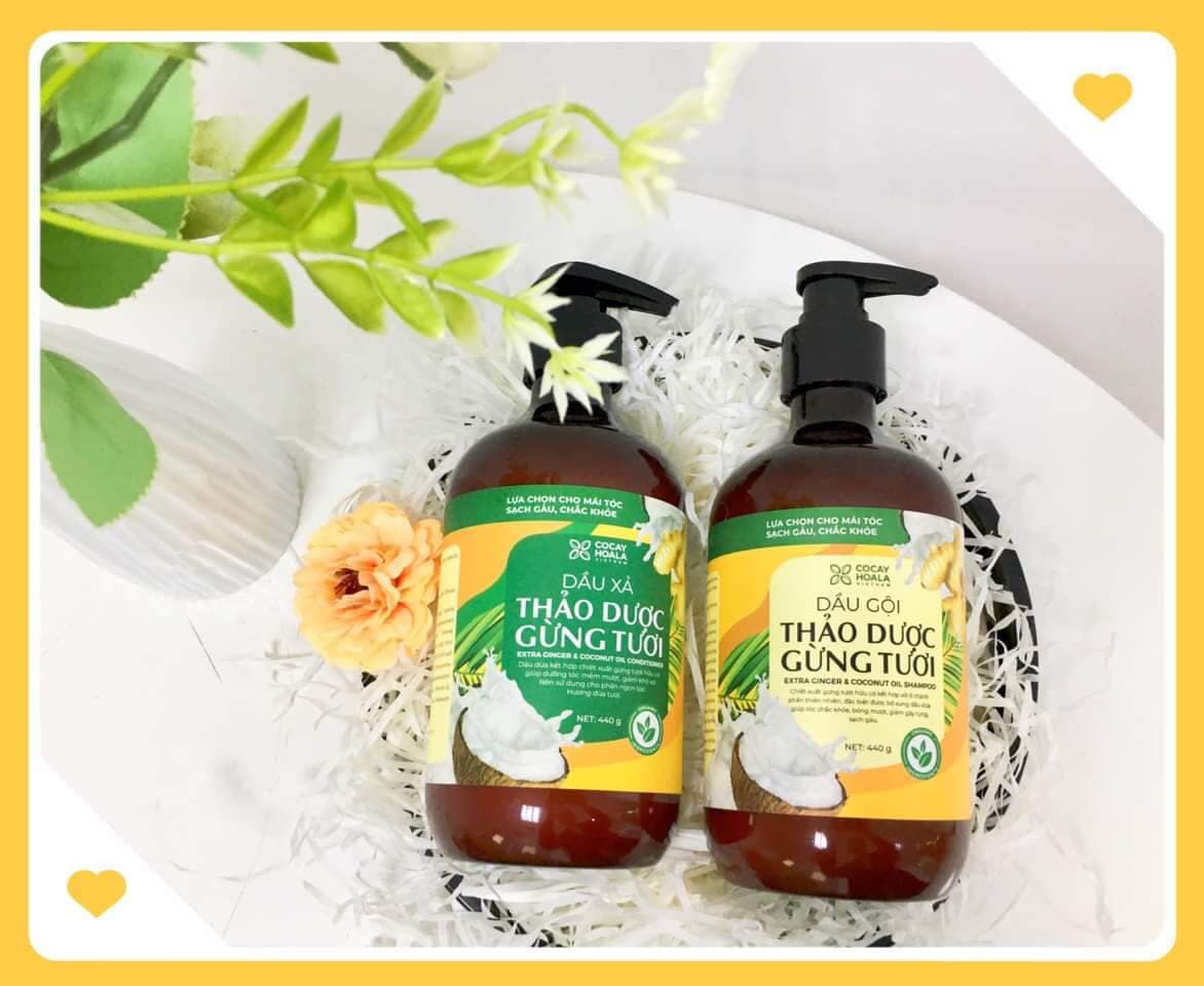 [hàng chính hãng] Combo dầu gội/xả thảo dược gừng dừa Cocayhoala đánh bay gàu giảm nấm ngứa dung tích 440g/chai