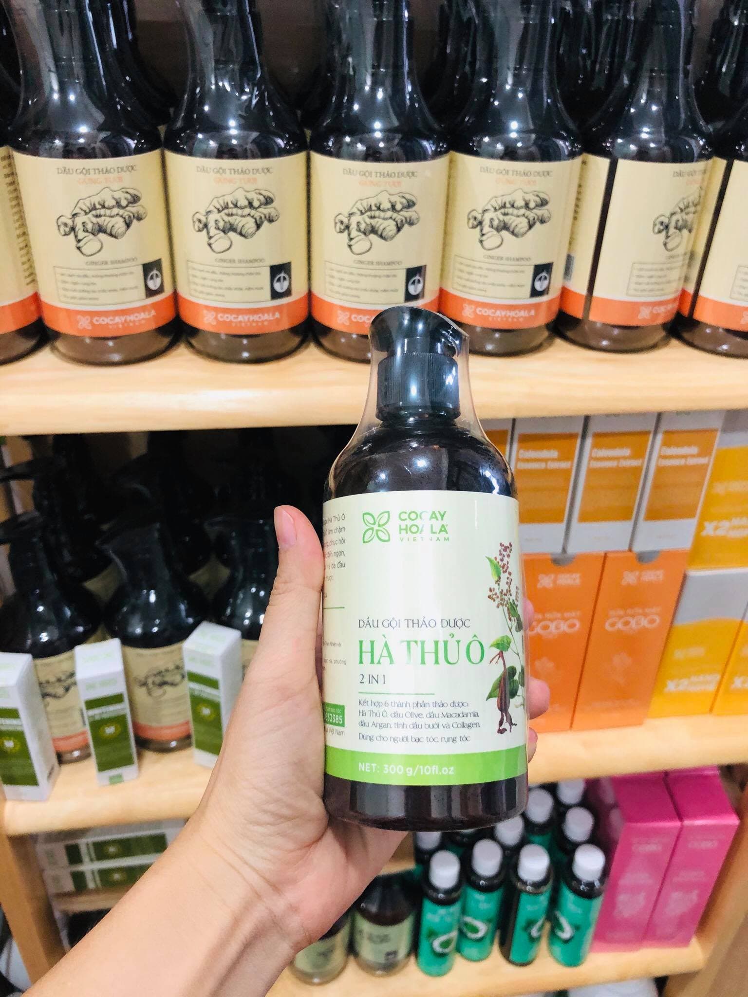 Dầu Gội Thảo Dược Hà Thủ Ô Gội Xả 2in1 Giảm Rụng Tóc Giảm Bạc Tóc Kích Thích Sắc Tố Mầm Tóc Làm Đen Tóc - Cocayhoala 300g