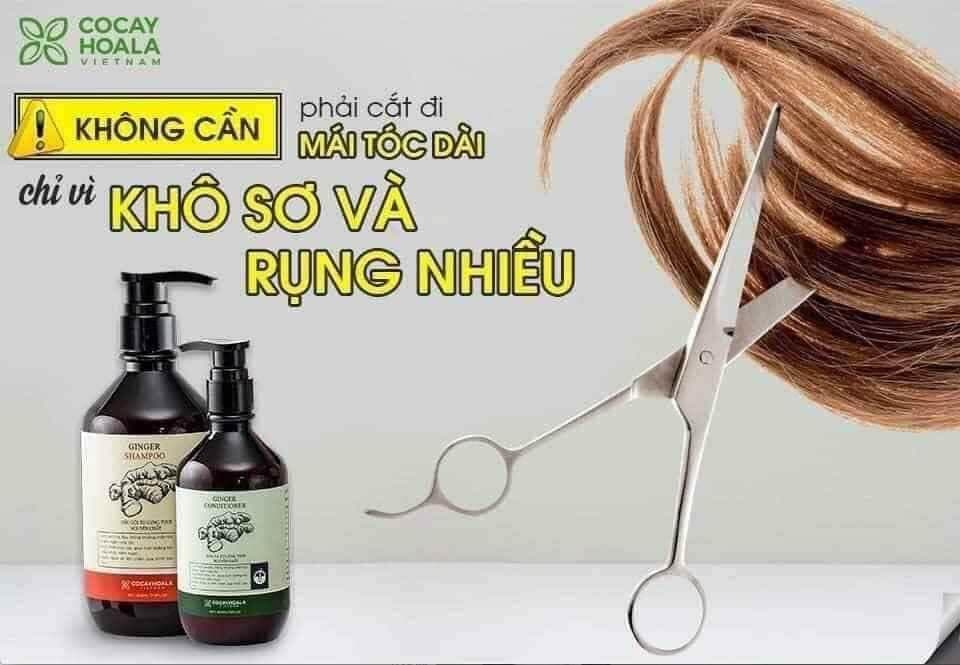 [HCM][HÀNG CHÍNH HÃNG] Dầu Gội Gừng Kích Thích Mọc Tóc Giảm Rụng Tóc Giảm Gàu Dưỡng Tóc Mềm Mượt