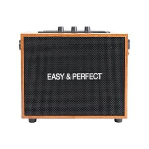 Loa karaoke xách tay Easy & Perfect Zypher 5W Nâu