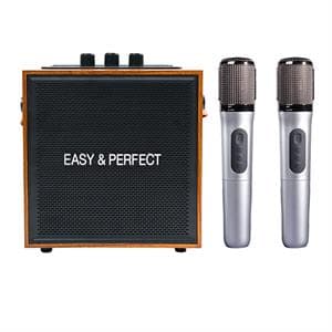 Loa karaoke xách tay Easy & Perfect EP-Soraze 15W Nâu