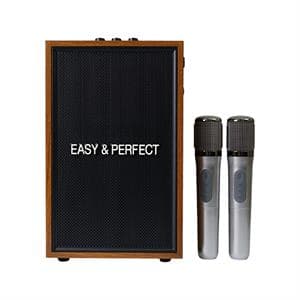 Loa karaoke xách tay Easy & Perfect EP-Vector 20W Nâu